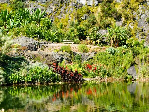 Whangarei - Quarry Gardens