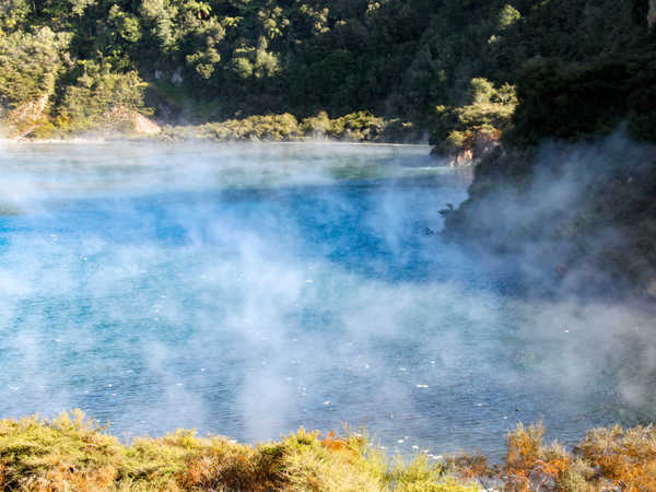 Waimangu Volcanic Valley - il lago ribollente detto 'frying pan' (la padella per friggere)