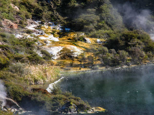 Waimangu Volcanic Valley - il lago ribollente detto 'frying pan' (la padella per friggere)
