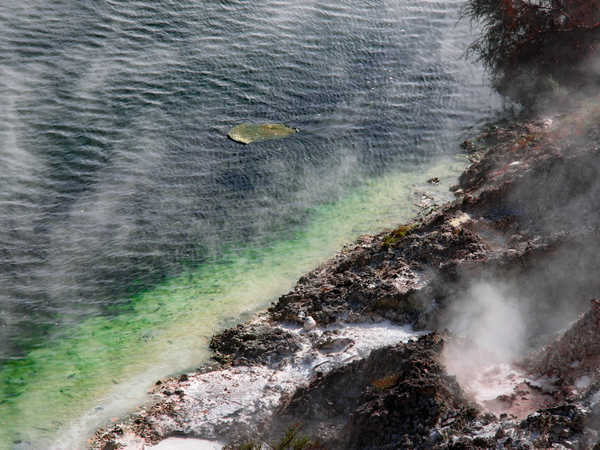 Waimangu Volcanic Valley - il lago ribollente detto 'frying pan' (la padella per friggere)