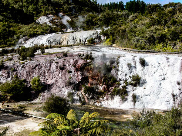 Regione di Taupo - Orakei Korako Hidden Valley, 'Rainbow terrace'