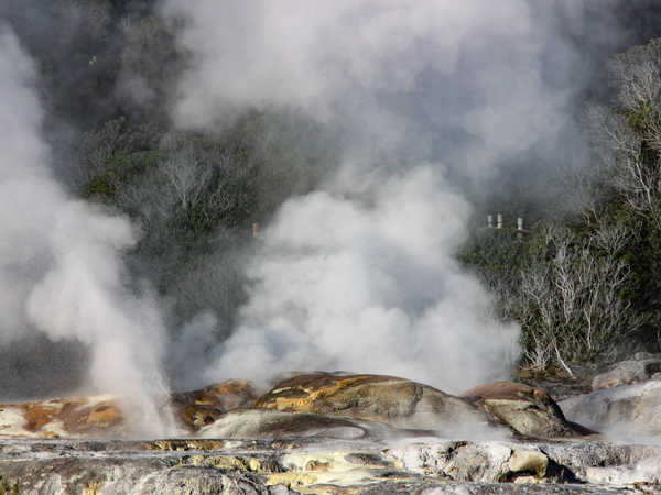 Regione di Rotorua - Whakarewarewa Geothermal Area