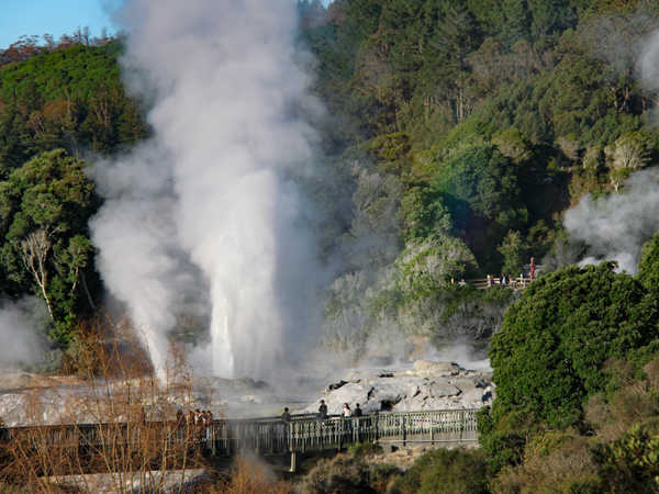 Regione di Rotorua - Whakarewarewa Geothermal Area, Pohutu Geyser e Prince of Wales Feathers Geyser
