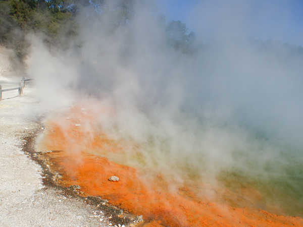 otorua - Waiotapu Thermal Wonderland – La pozza “Champagne Pool” (profondità 60 mt, temperatura circa 80 °C) , punto più noto e  fotografato del parco, dai magnifici colori rosso-arancio-blu dovuti a minerali di ferro, zolfo, antimonio, allume e cobalto