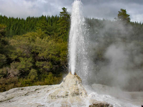 Rotorua - Waiotapu Thermal Wonderland - Geyser 'Lady Knox''
