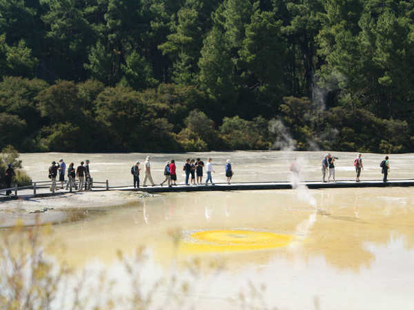 Rotorua - Waiotapu Thermal Wonderland. Ci si muove con circospezione sulla passerella tra i laghi “Opal Pool” e “Artist’s Palette”, al lato di una pozza multicolore  che pare un tuorlo d’uovo.