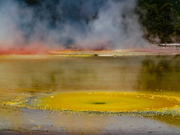 Rotorua - Waiotapu Thermal Wonderland - Un enorme tuorlo d'uovo a base di gas di zolfo con concrezioni di ferro, stagno, antimonio e altri minerali si sviluppa nel laghetto multicolore detto 'Artist's palette' (la tavolozza del pittore)
