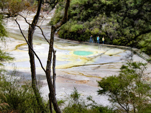 Rotorua - Waiotapu Thermal Wonderland - La pozza detta 'Oyster Pool' (la piscina dell'ostrica)