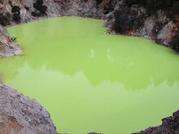 Rotorua - Waiotapu Thermal Wonderland - Le acque dall'incredibile colore verde vernice della pozza 'Devil's Lake' (lago del diavolo)