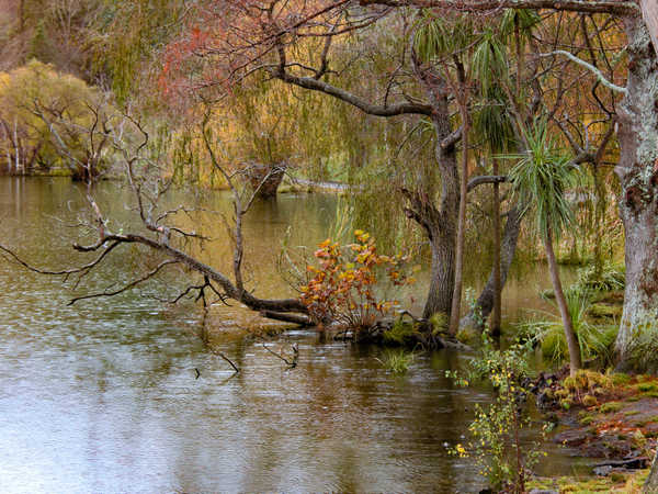 Il piccolo delizioso Turiri Lake sotto la pioggia
