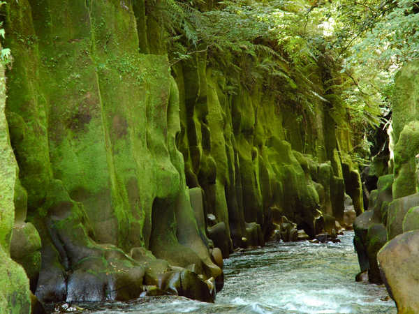 Te Whaiti Canyon