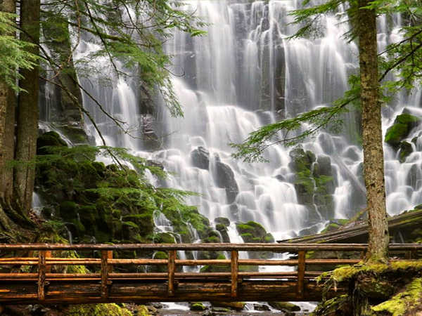 Te Whaiti Canyon