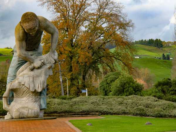 Te Kuiti - Monumento al tosatore di pecore