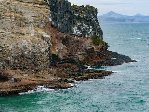 Dunedin - Faro sul promontorio della Otago Peninsula
