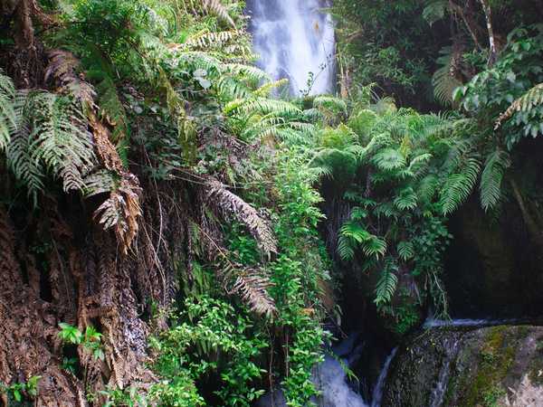 Arthurs Pass - Bridal Veil falls