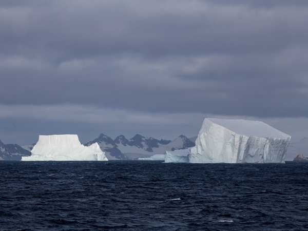 Iceberg al largo di Laurie Island