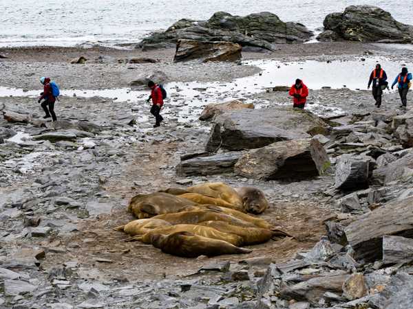 Sbarco a Shingle Cove - Coronation Island