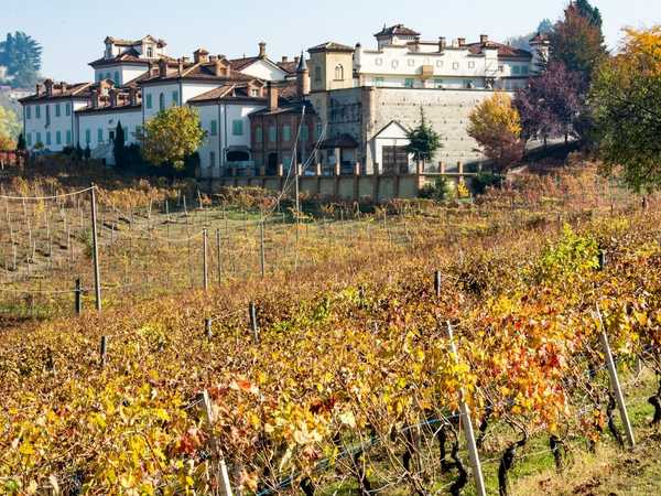 Poderi Aldo Conterno