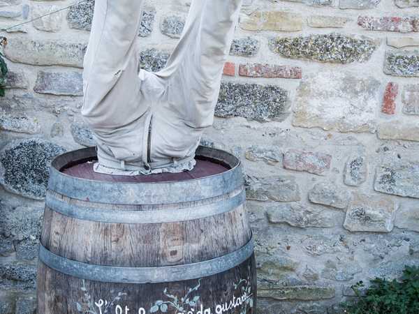 Proverbio dell'Alta Langa