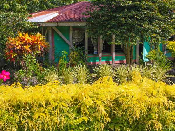 Rigoglioso giardino lungo la costa sud di Sava'i
