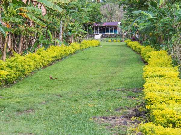 Anche le case più piccole e più povere hanno giardini stupendi