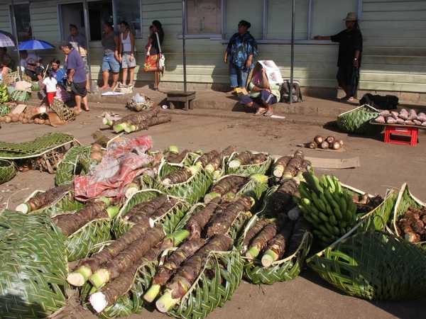 Radici di taro gigante in vendita all'esterno di Maketi Fou