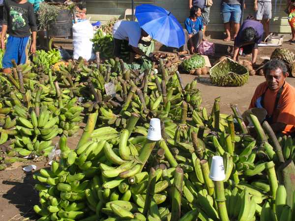 Caschi di banane verdi in vendita all'esterno di Maketi Fou