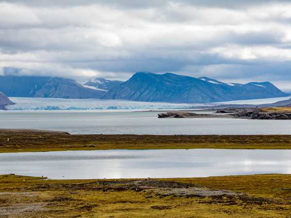 Baia di Ny Alesund