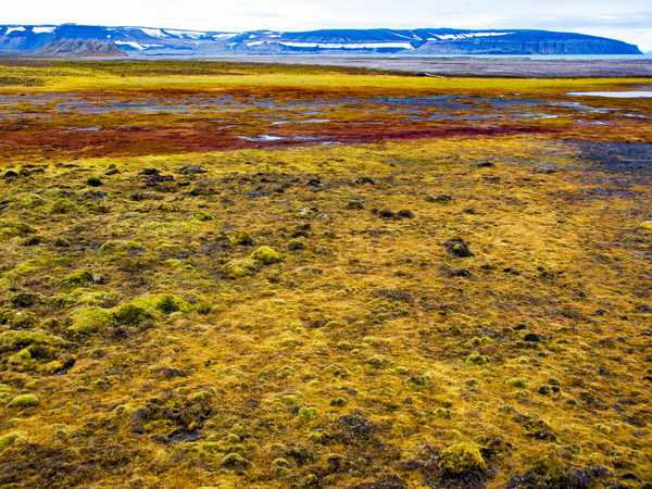 Tundra di Dunerbukta
