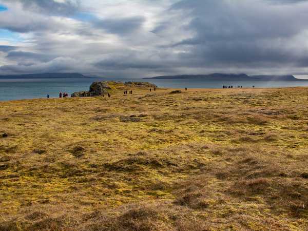 Tundra di Ymerbukta