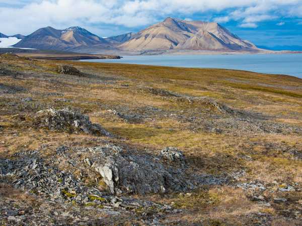 Ymerbukta