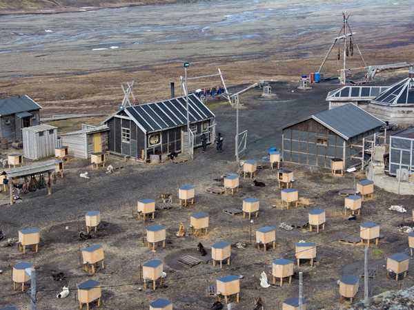 Pensione per huskies sulle colline alla periferia di Longyearbyen