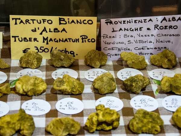 Sua maestà il Tartufo Bianco d'Alba