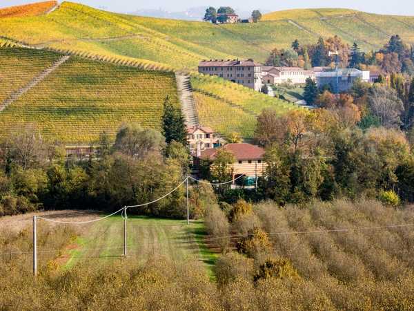 Vigneti delle colline albesi