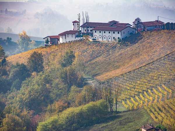Vigneti sulle colline di Monforte d'Alba